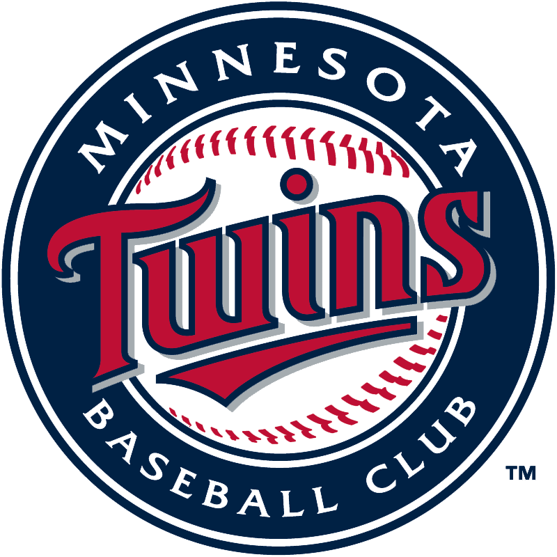 Minnesota Twins 2010-Pres Primary Logo DIY iron on transfer (heat transfer)